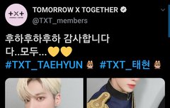 1113 태현짹 /오피셜짹