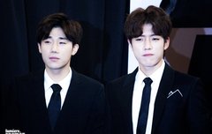 코알라즈 비주얼 합 공론화 시급