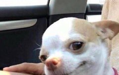 투밧투 올겨울에 캐롤 디싱 어때