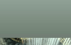 ㅇㅅㅌ 서방님 맛점