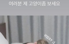 수빈이가 자기 고양이 보라해서