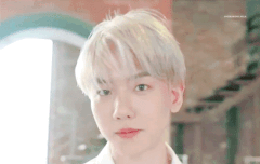 백현이 일본앨범 ㅈㄴ 기대된다