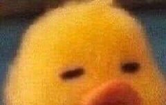 인프피 이미지 알려주라