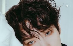 웜메 우리 코기