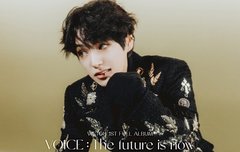 웜메 우리 코기 세상 까리해