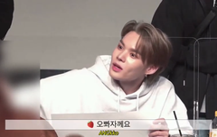 앨리스 이거 봤어???