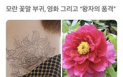 와 진짜 개쩔어