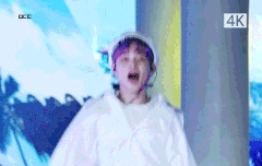 레전드 보라머리 하리보