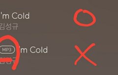 다운한 음원으로는 스밍안되니까 주의!