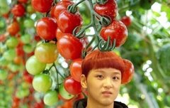 방토이옵니다 왕자님