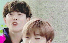 김진환 귀여운 움짤볼코닉이들 ~~