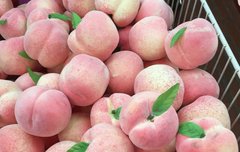 녽믠 편견이 지켜주는 커플