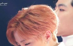 버블 와이지 제발!!!