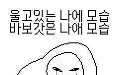 ㅅㄷ 성인 되면