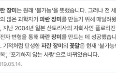 웜메..파란장미,파란나비 뜻 대박ㅇ넹