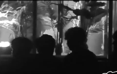 [끌올|짐랩] 연하 손목잡고 애교부리는 연상