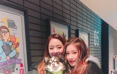 한&2018 연말기들짤털