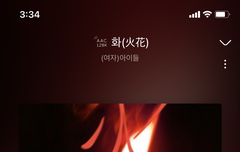 지나가던 멜로디양