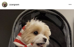 KJD가주말에놀러가쟤?