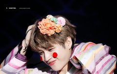 나무 오기까지 200일!!