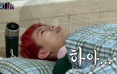 저녁에 재밌어서 벽플기대했는데