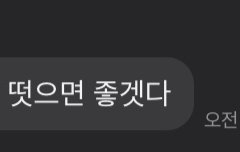 앨리스들 나 진심 내 친구