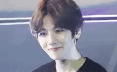 백현이 보고 싶다