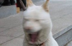 얘들아 이거 봤니