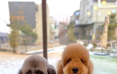 멘탈 돌아와서 팬톡 복귀