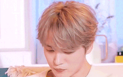 제일 좋아하는 짤 하나씩만 풀어줭