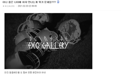 단어선택어떻게보나?