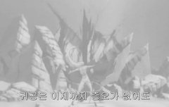코마무라