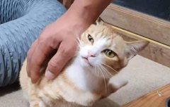 이건 별 보다가