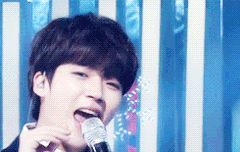 나무 생일 축하해