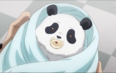 다들 귀여운 판다선배보고가