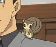 코난 최고귀요미