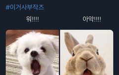 다들 입덕계기 말해보자