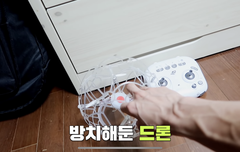 제노 팔 무슨 일이야 ..