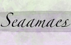 시에미즈 로고 감성버전 만들어봄