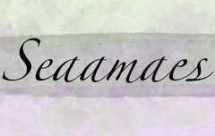 ❤️시에미를 위한 고소 메일❤️