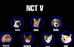 거기 예쁜 아미야 들어와봐