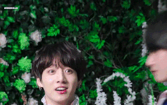 호모,,드릉드릉,,