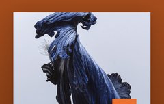 이 곡 정구기 gcf 브금인데 개좋음