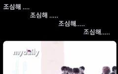 얘들아 웃기고 귀여운짤 보고가렴