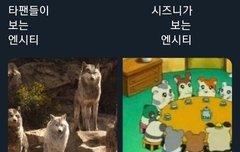 에미들아 엔시티 첨볼때 진짜 이랬어?
