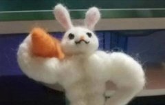 각자 자기 최애가 닮은 동물 뭐야???