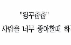 이거 밀자 윙꾸춥춥