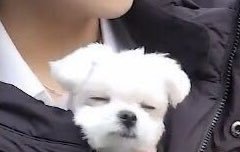 너네 본진 회사가 잘 해주냐