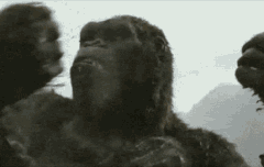 화난 킹콩 짤털