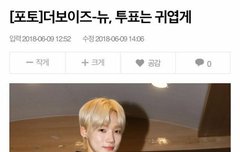 킹콩이들!! 너네 투표 어떻게 할거임?